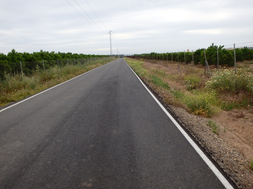 Many kilometers of Orange Groves.